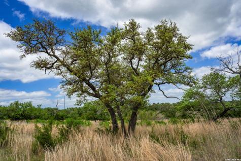 Lot 48 Great Sky Avenue Kerrville TX 78028