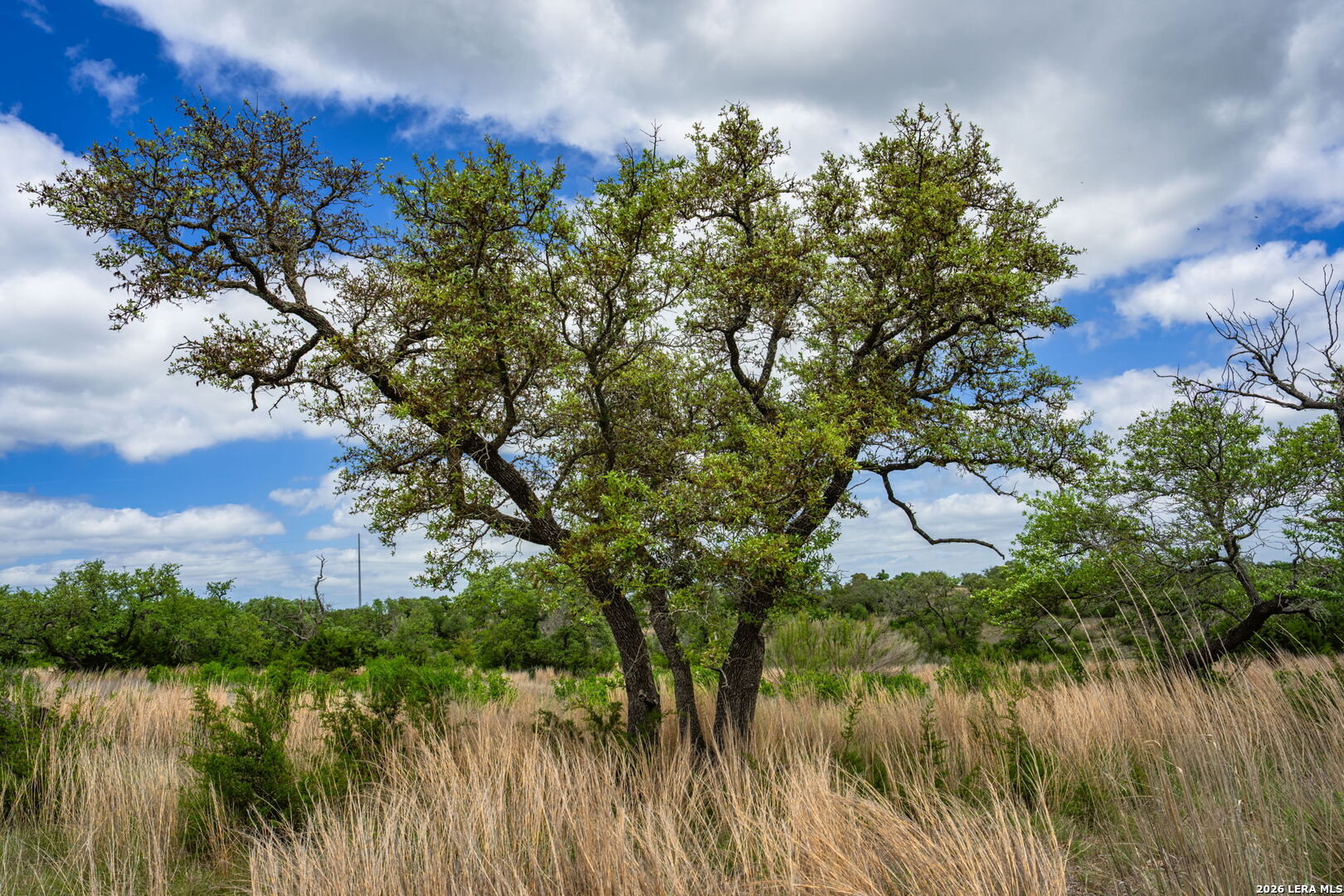 Lot 48 Great Sky Avenue Kerrville TX 78028
