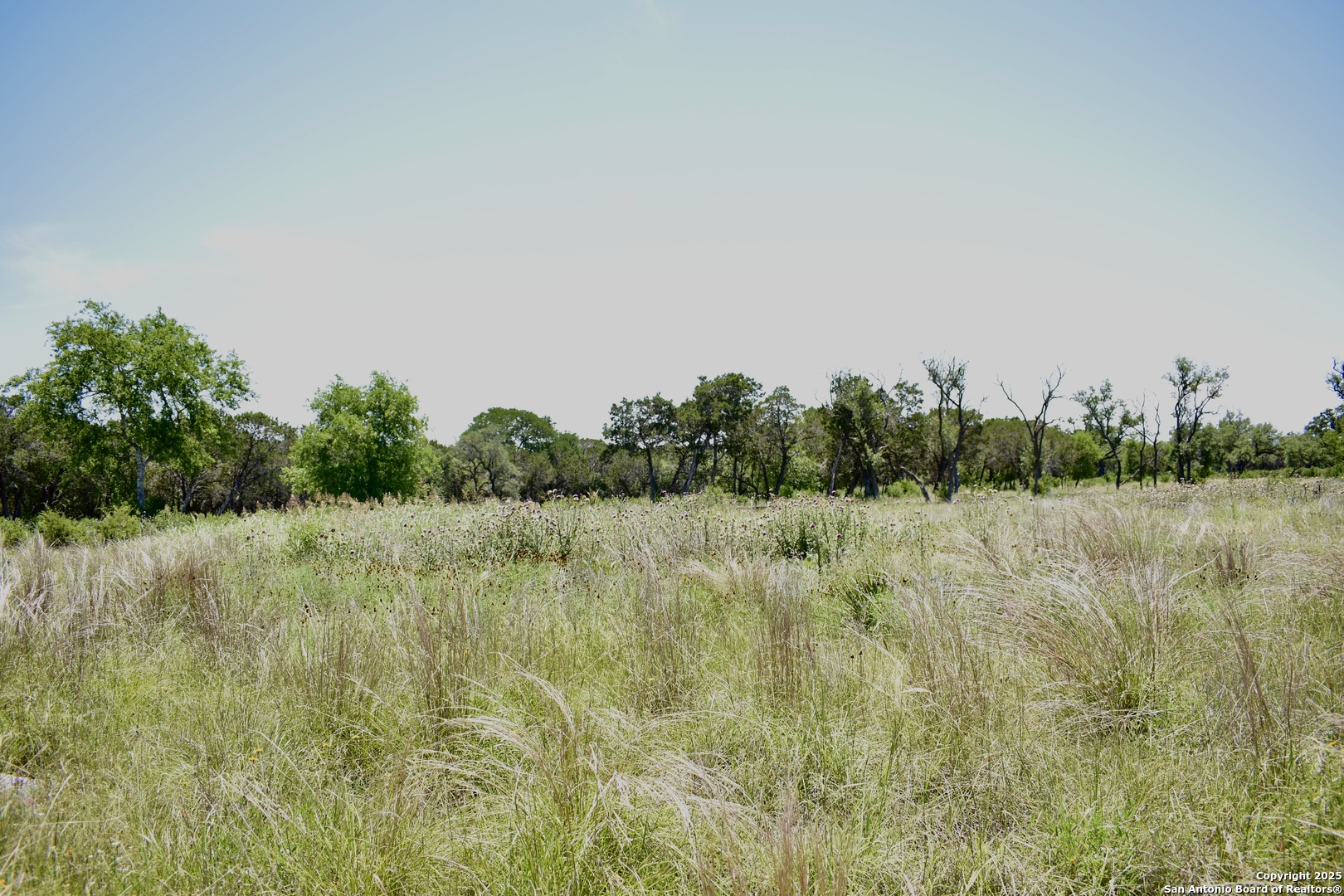Lot 53 Clearwater Canyon Road Bandera TX 78003