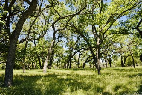 Lot 53 Clearwater Canyon Road Bandera TX 78003