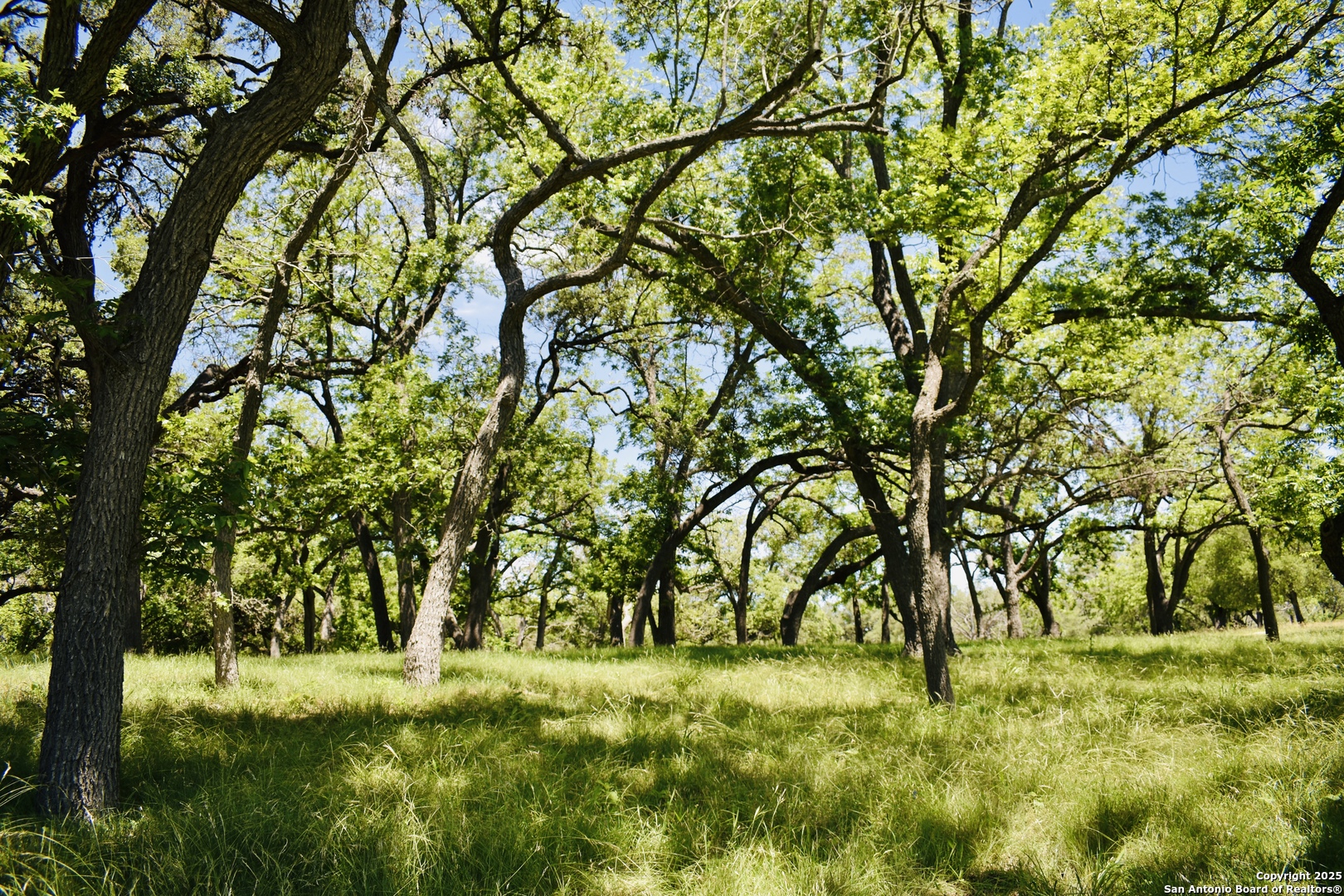 Lot 53 Clearwater Canyon Road Bandera TX 78003