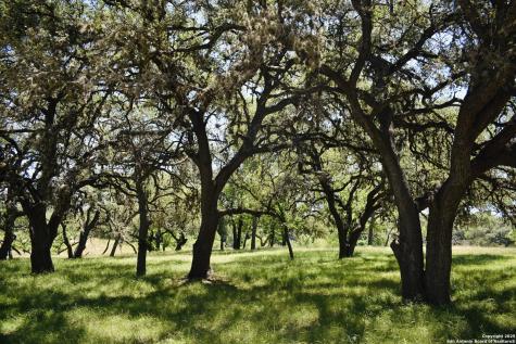 Lot 53 Clearwater Canyon Road Bandera TX 78003