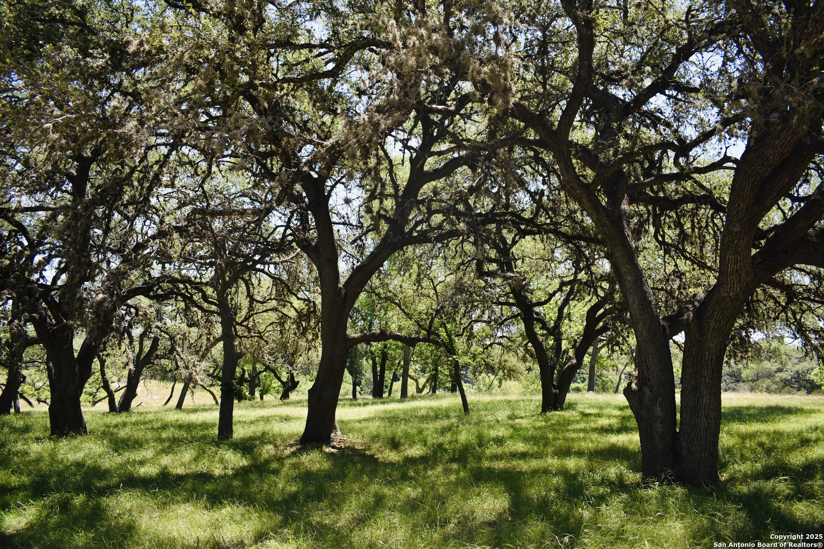 Lot 53 Clearwater Canyon Road Bandera TX 78003