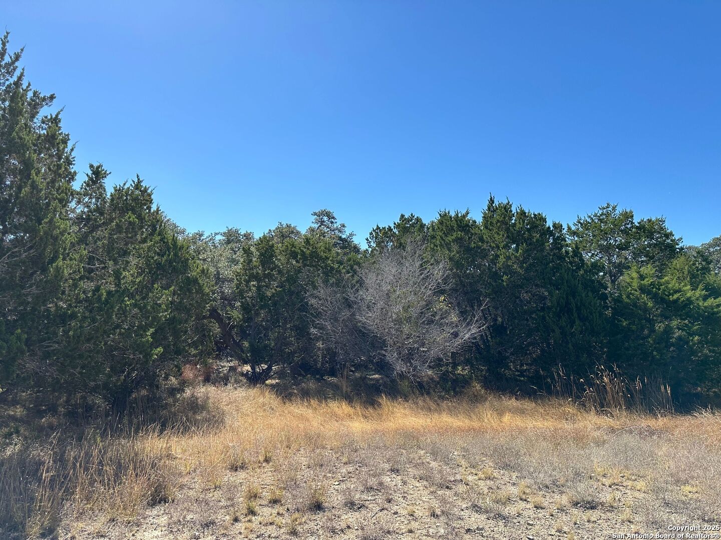149 Tablerock Ridge Camp Verde TX 78010