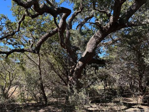 149 Tablerock Ridge Camp Verde TX 78010