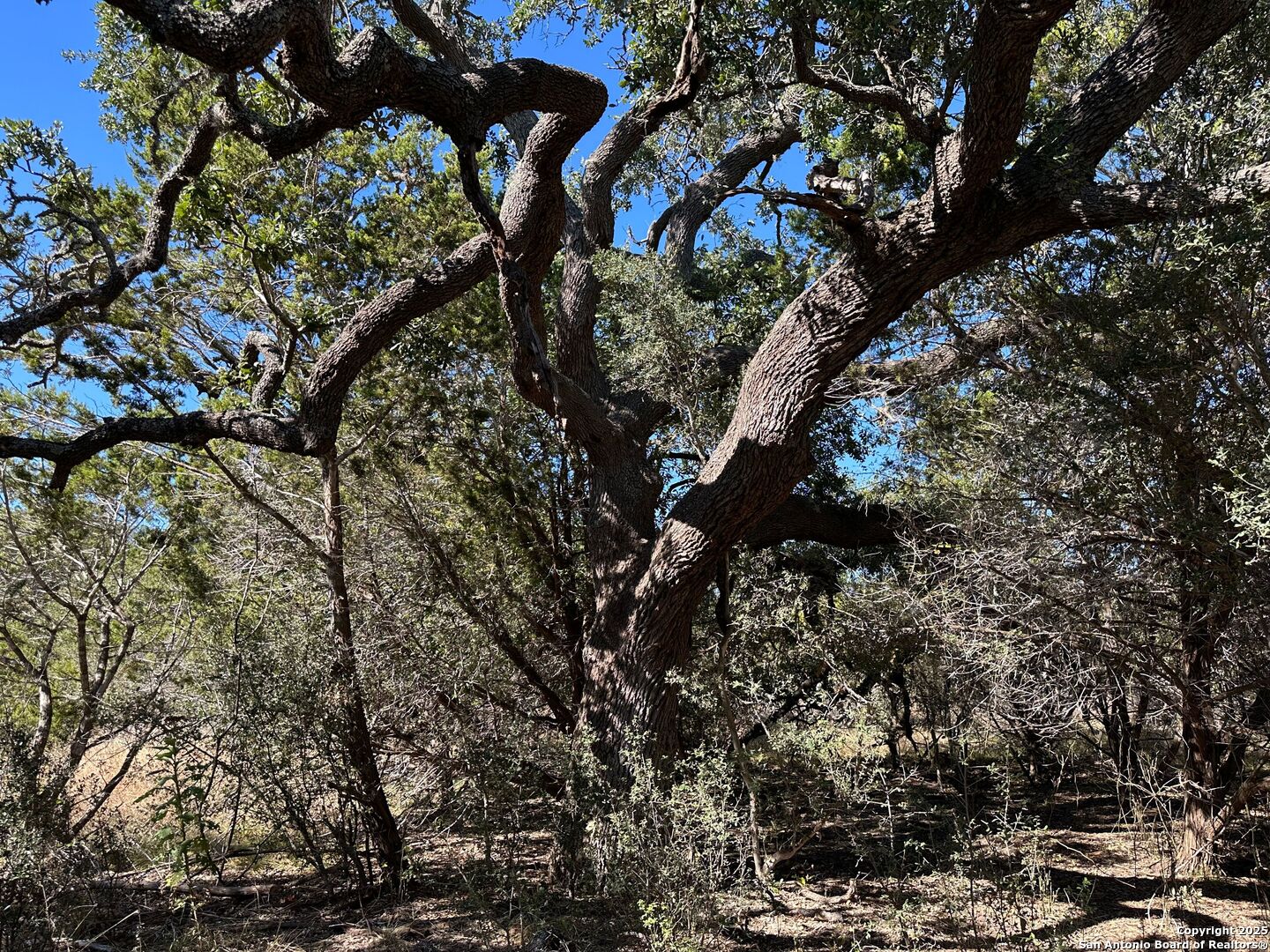 149 Tablerock Ridge Camp Verde TX 78010