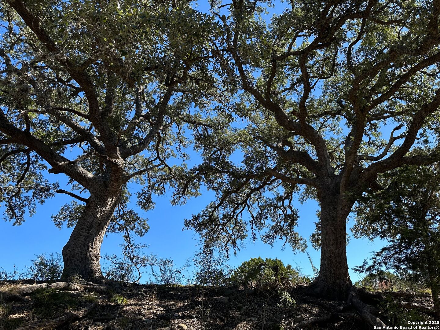 149 Tablerock Ridge Camp Verde TX 78010