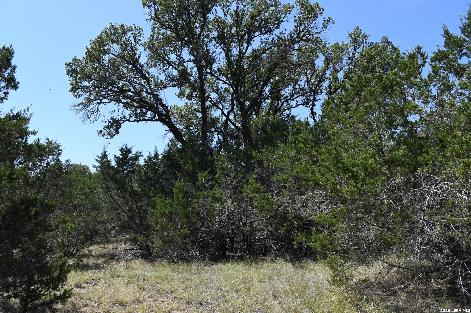 291 Serenity Pass Spring Branch TX 78070