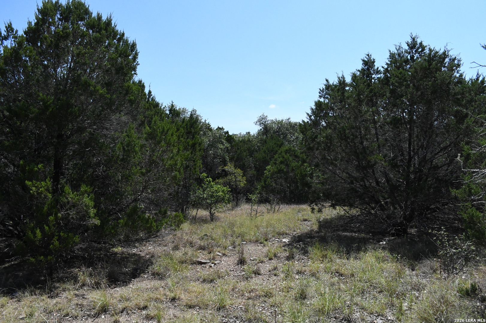 291 Serenity Pass Spring Branch TX 78070