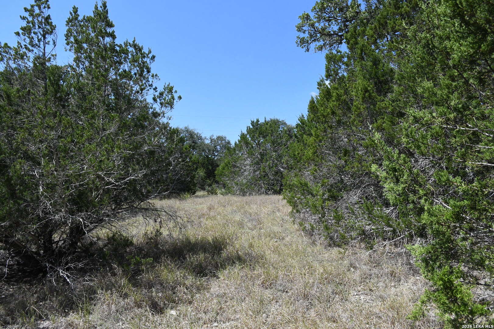 291 Serenity Pass Spring Branch TX 78070