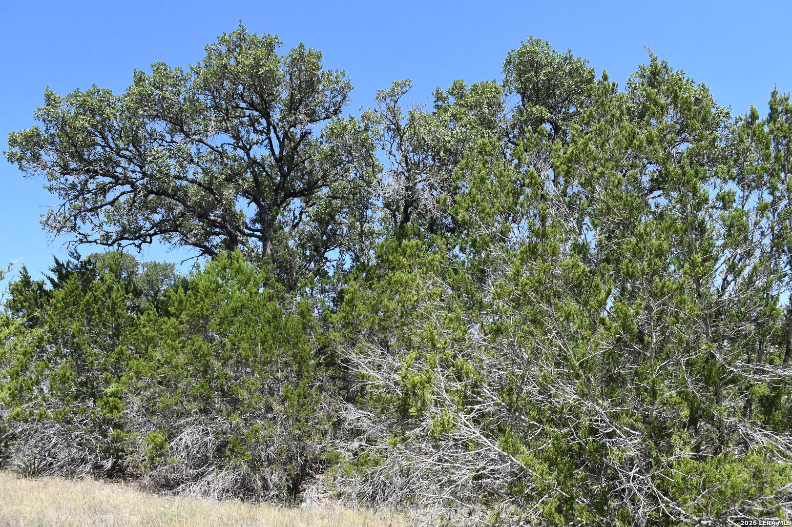 291 Serenity Pass Spring Branch TX 78070