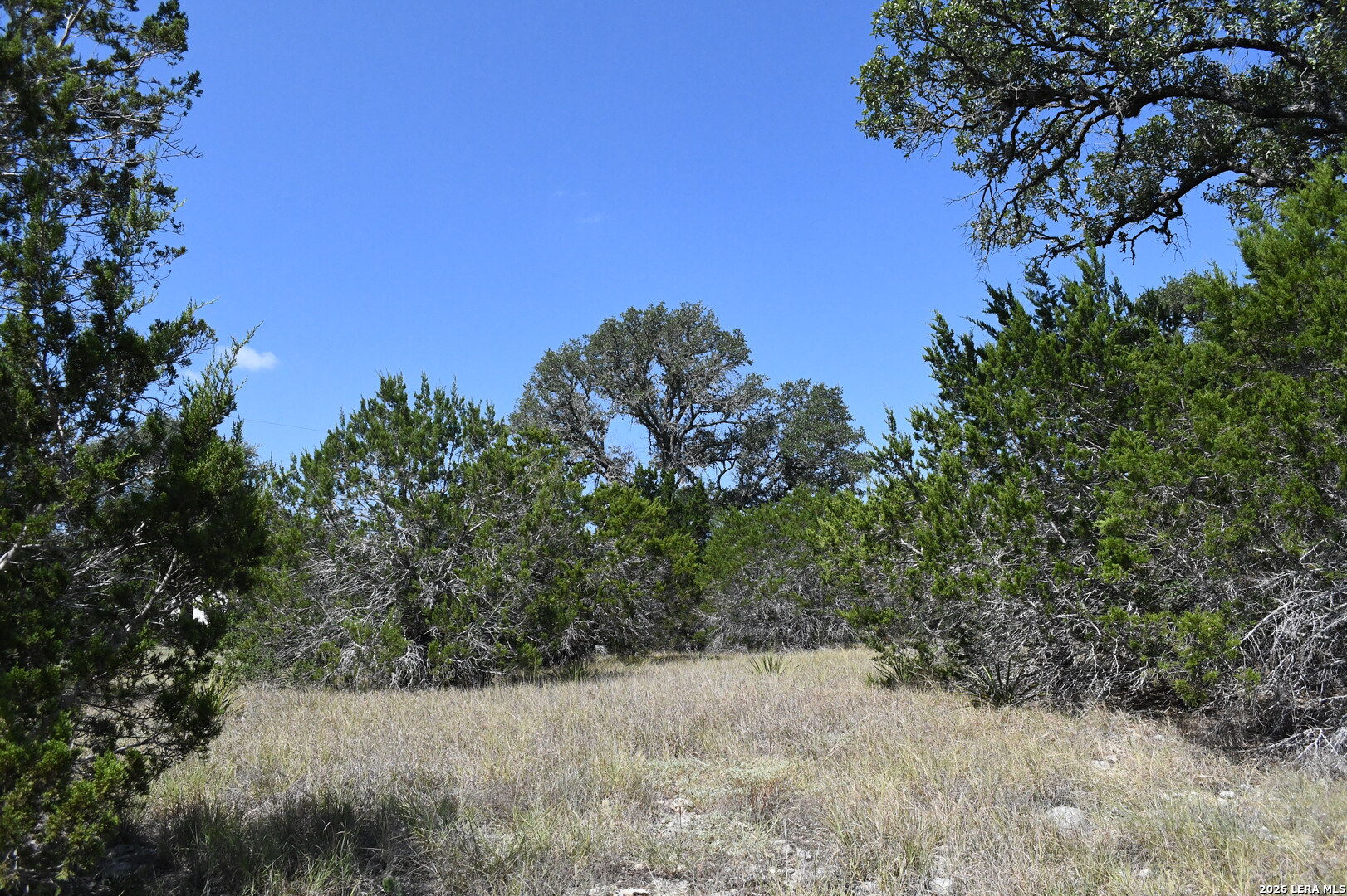 291 Serenity Pass Spring Branch TX 78070