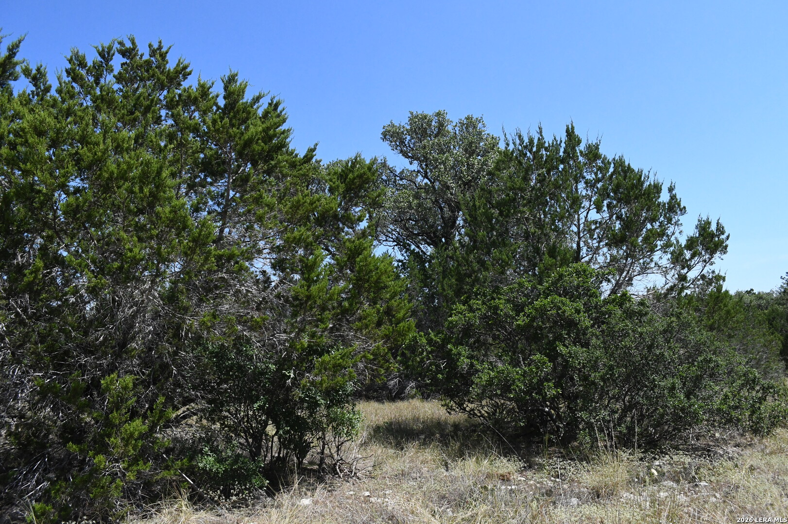 291 Serenity Pass Spring Branch TX 78070