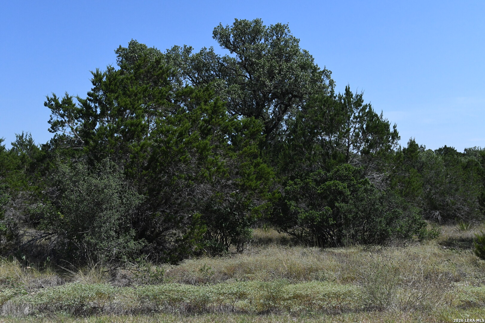 291 Serenity Pass Spring Branch TX 78070