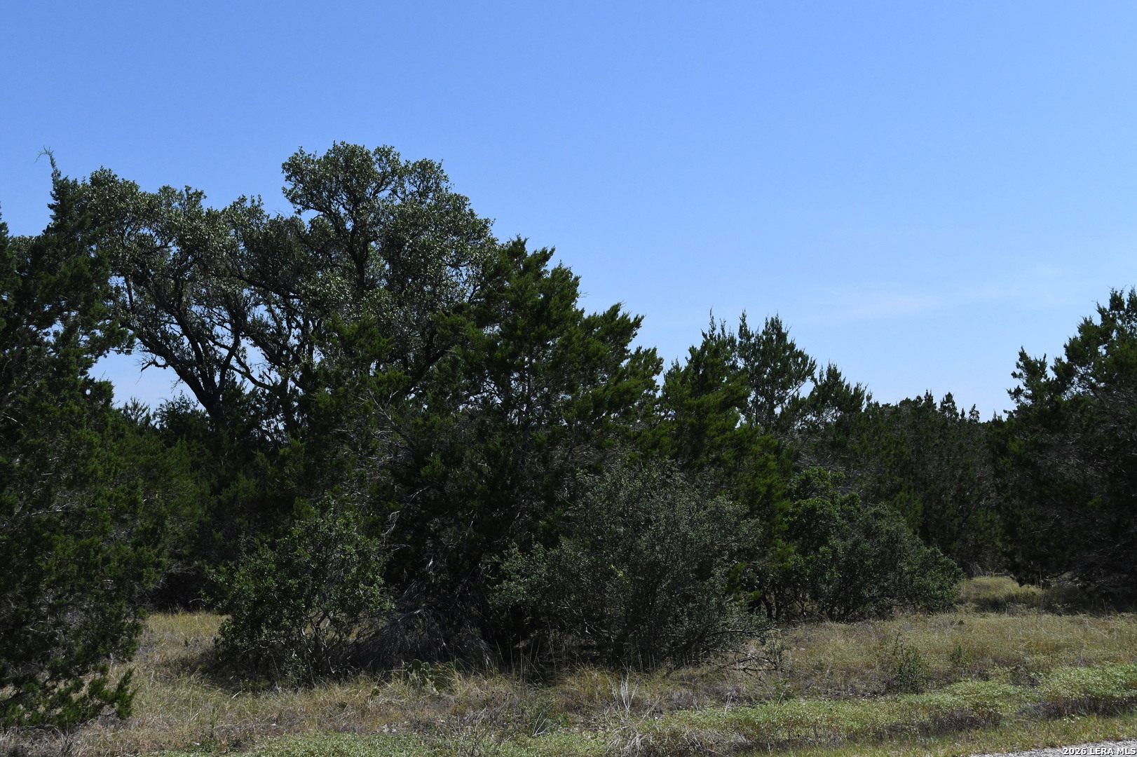 291 Serenity Pass Spring Branch TX 78070