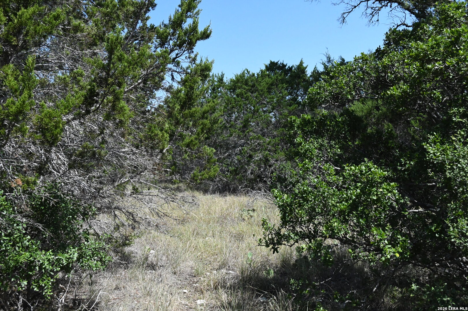 291 Serenity Pass Spring Branch TX 78070