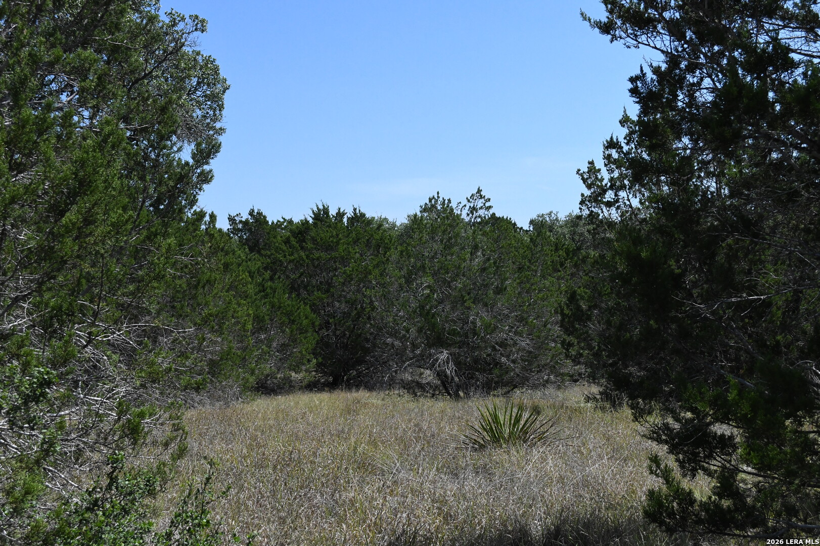 291 Serenity Pass Spring Branch TX 78070