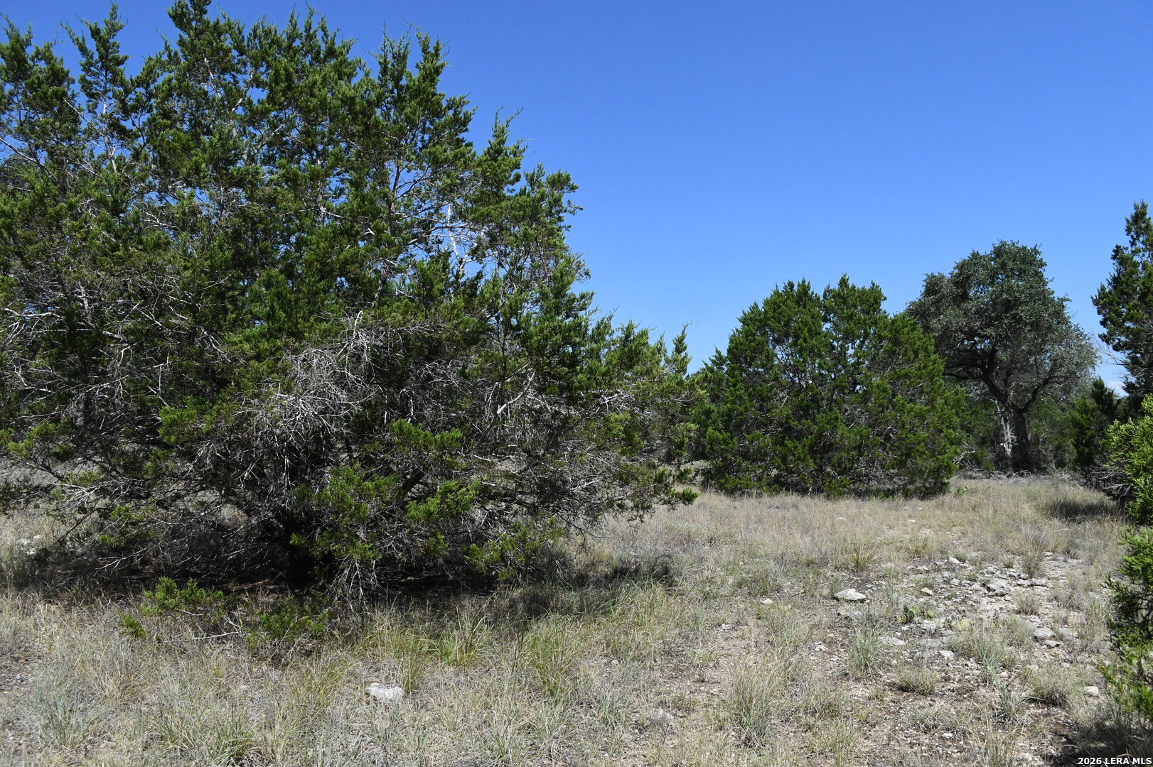 291 Serenity Pass Spring Branch TX 78070