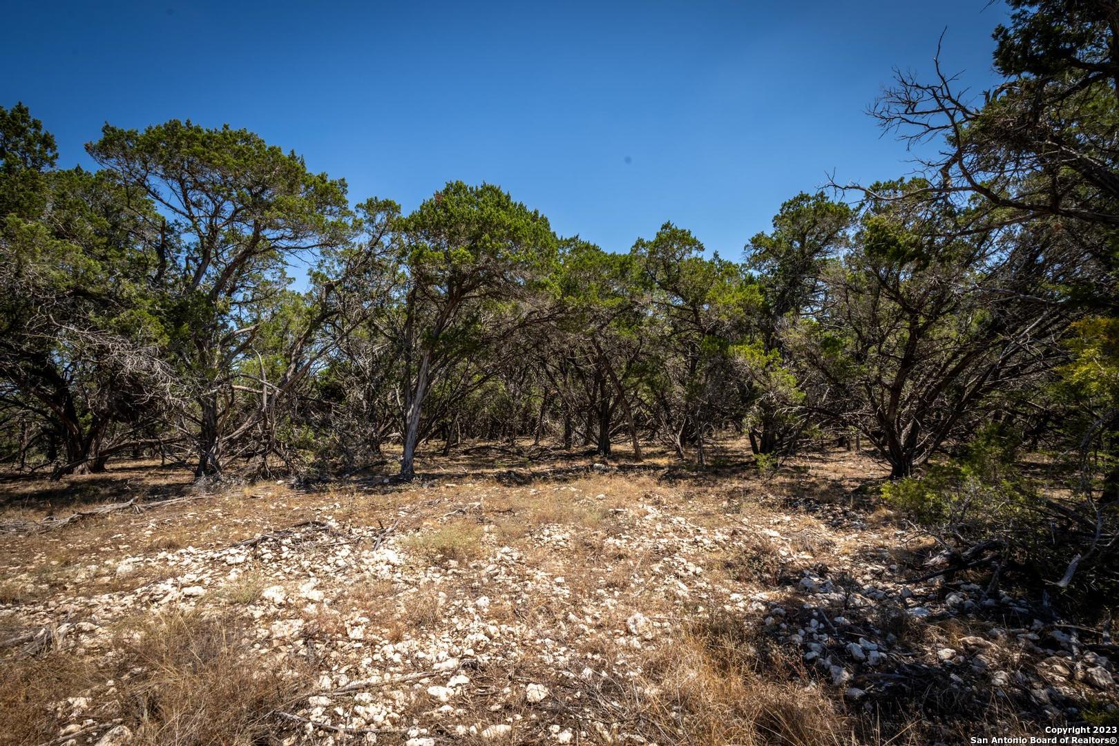 45 Mezcaya Trail Boerne TX 78006
