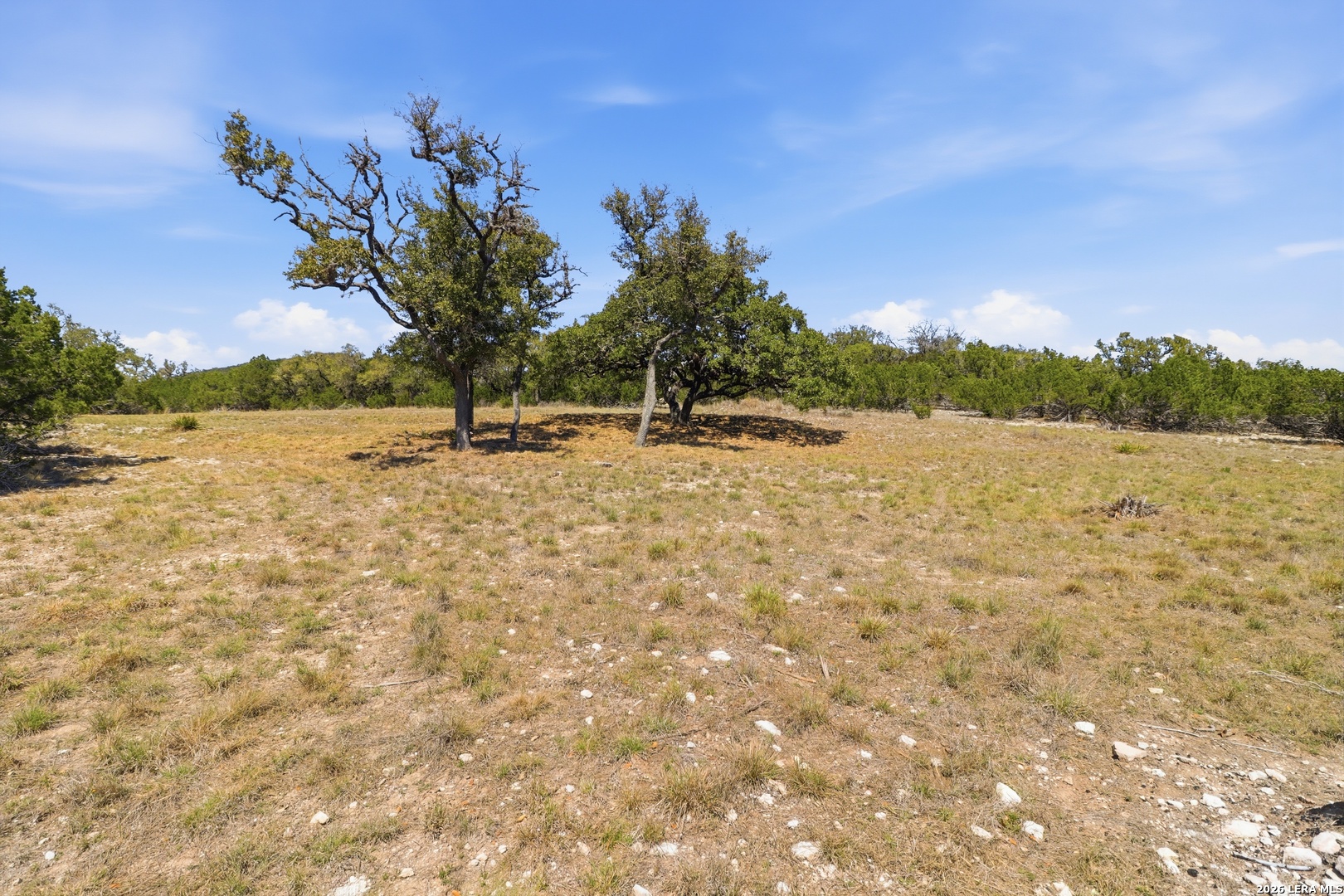 748 Bear Springs Trail Pipe Creek TX 78063