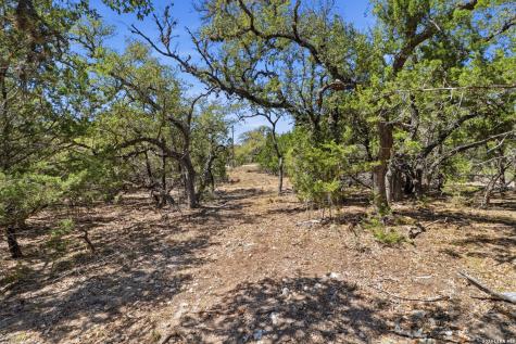 748 Bear Springs Trail Pipe Creek TX 78063