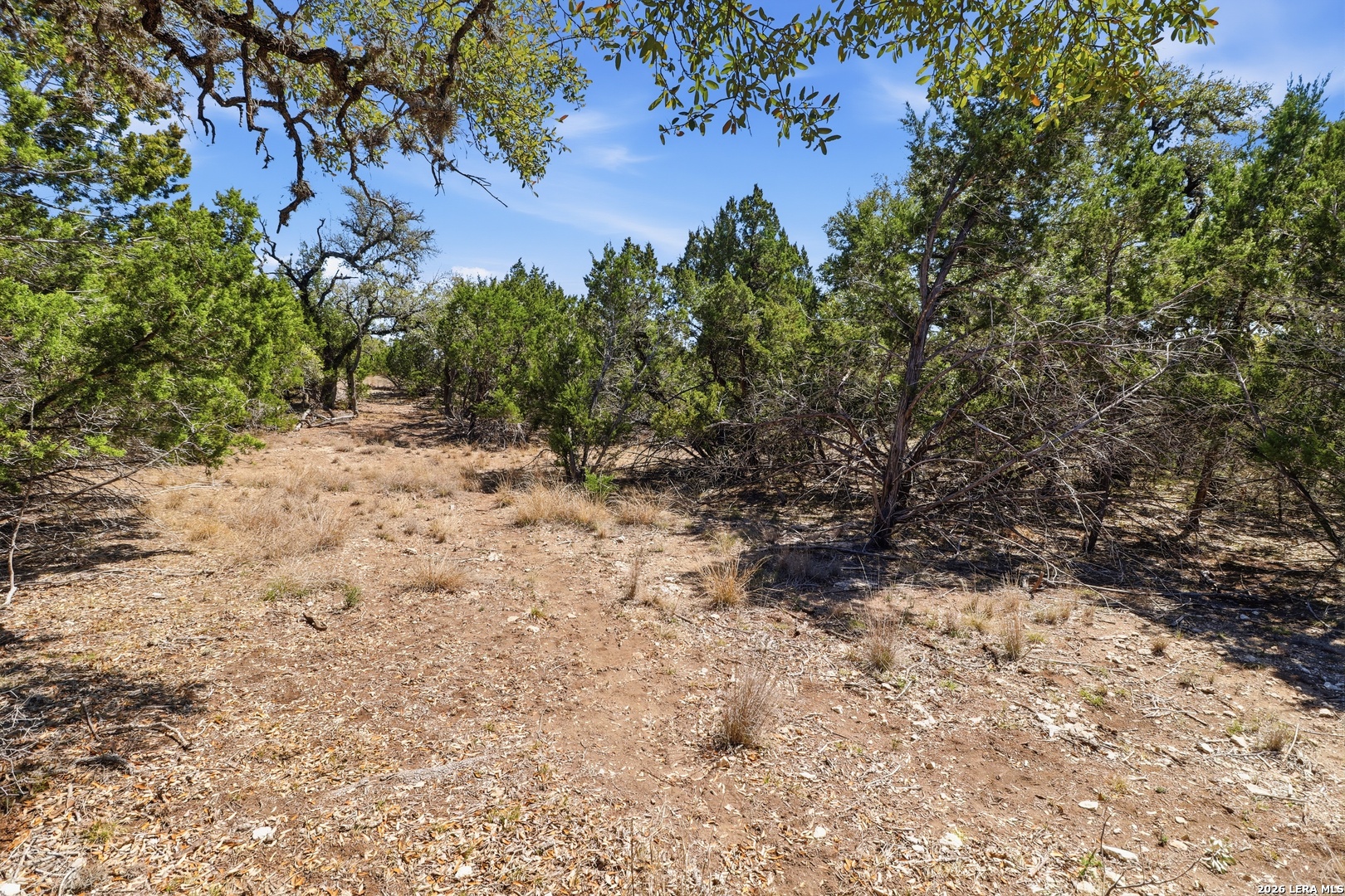 748 Bear Springs Trail Pipe Creek TX 78063