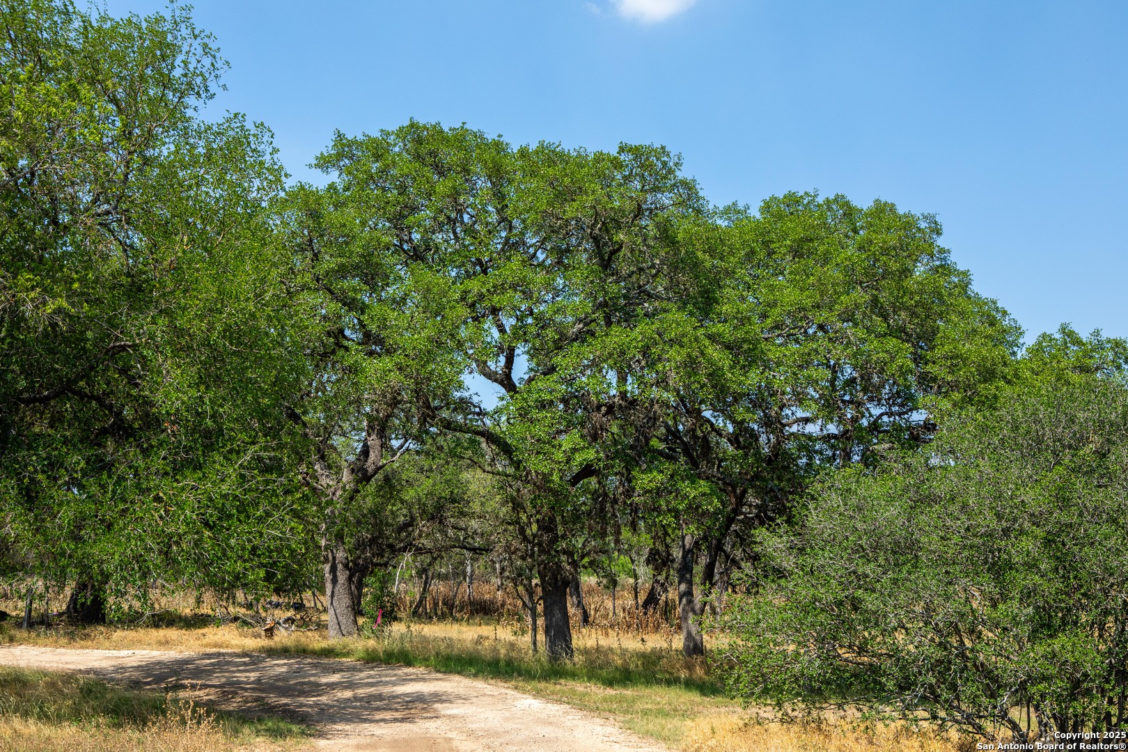 333 Dark Sky Path Kerrville TX 78028