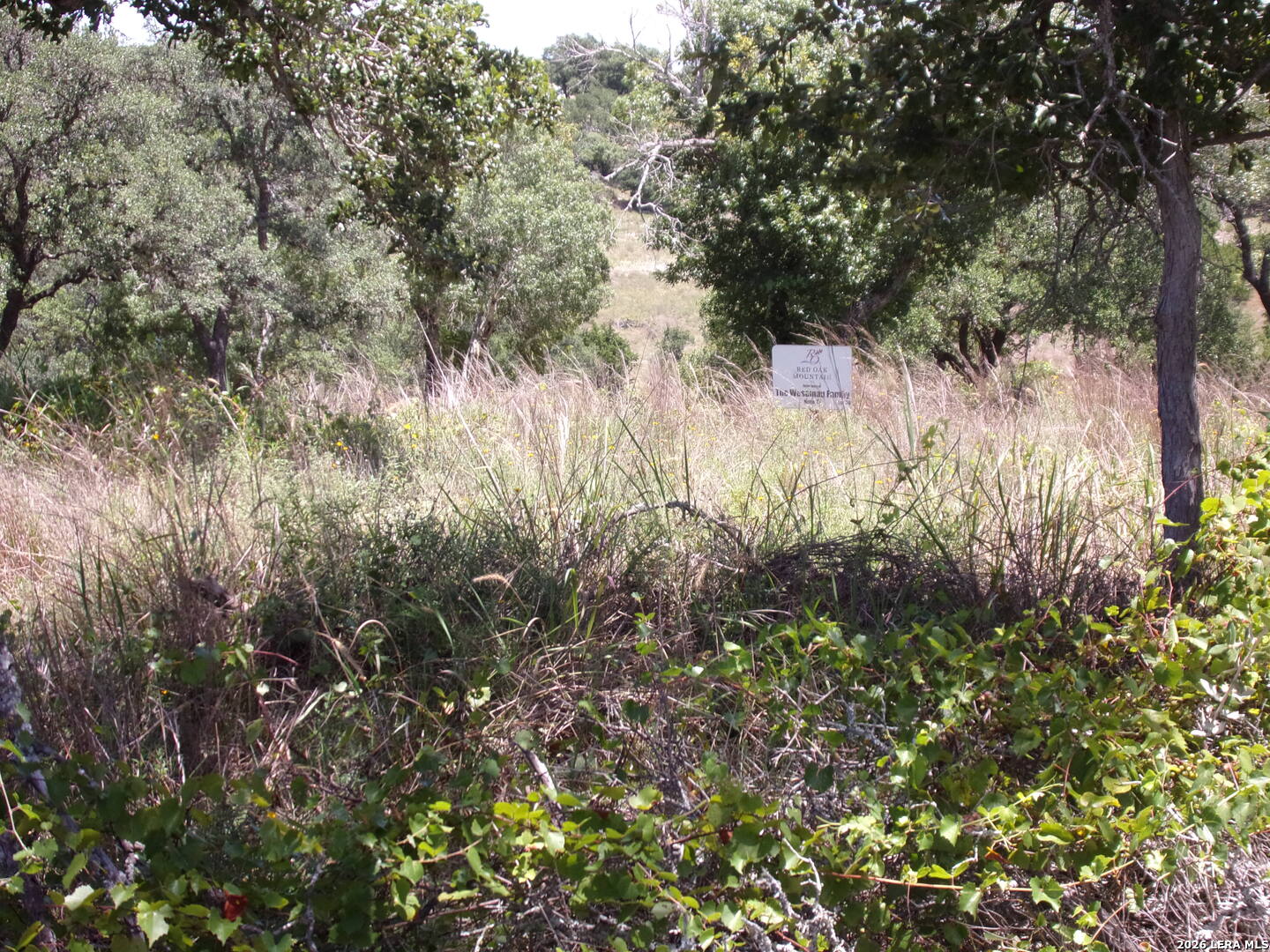 Tbd E Twisted Oak Trail Blanco TX 78606