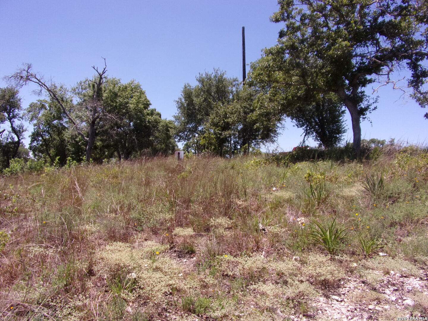 Tbd E Twisted Oak Trail Blanco TX 78606