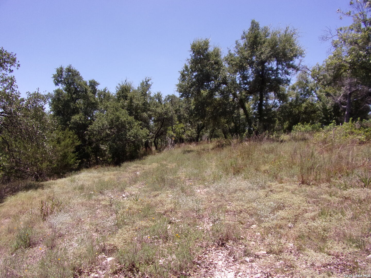 Tbd E Twisted Oak Trail Blanco TX 78606