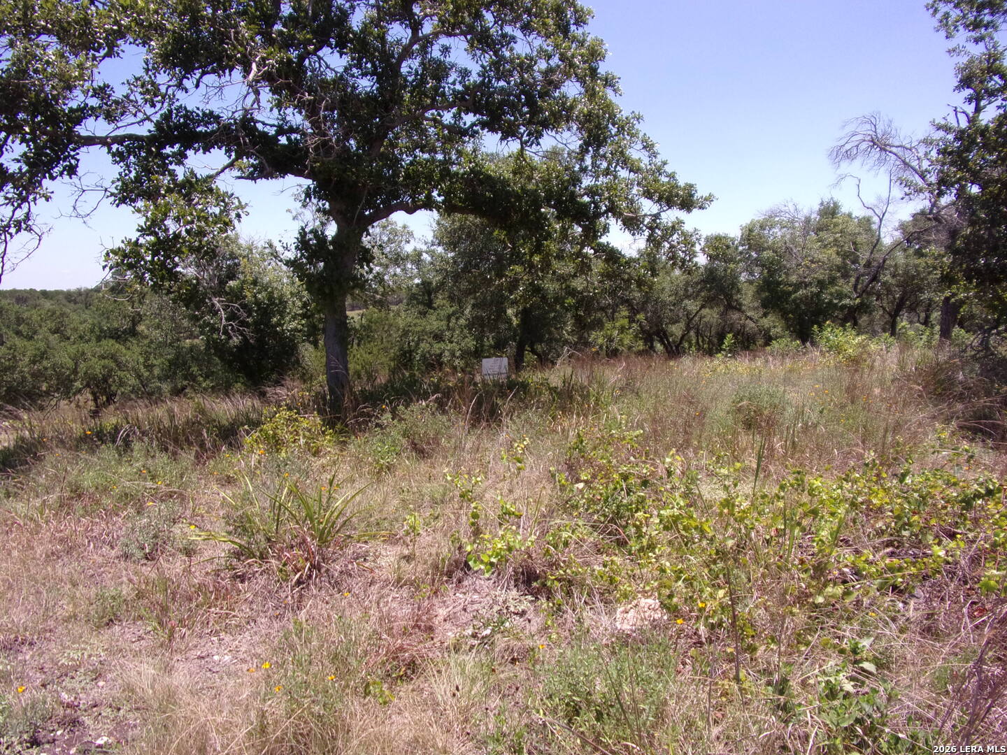 Tbd E Twisted Oak Trail Blanco TX 78606