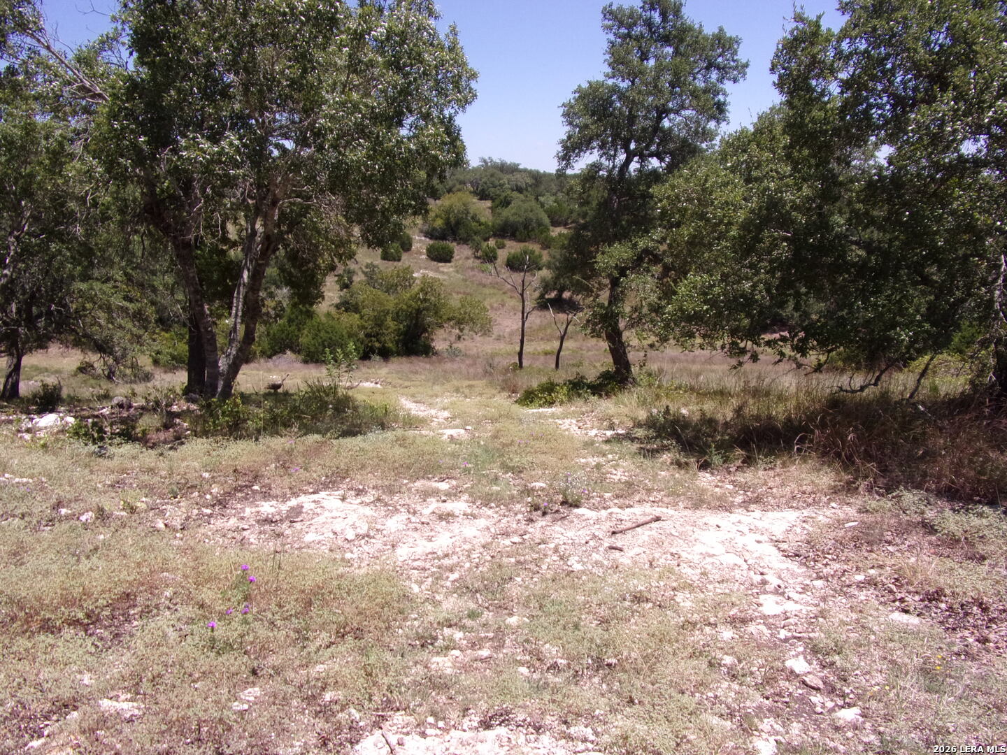 Tbd E Twisted Oak Trail Blanco TX 78606