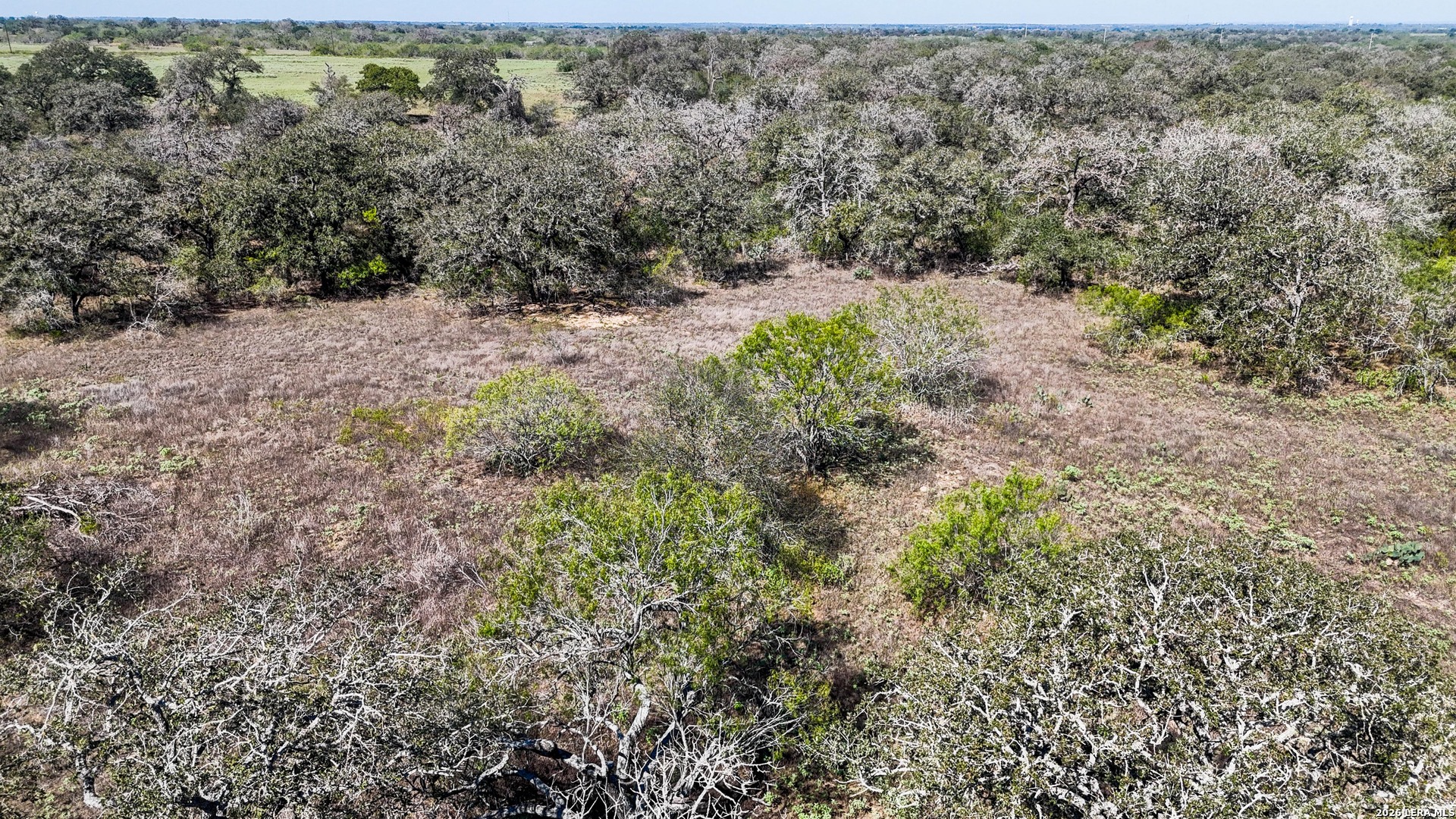 2296 Zion Hill Road (Tract 3) Seguin TX 78155