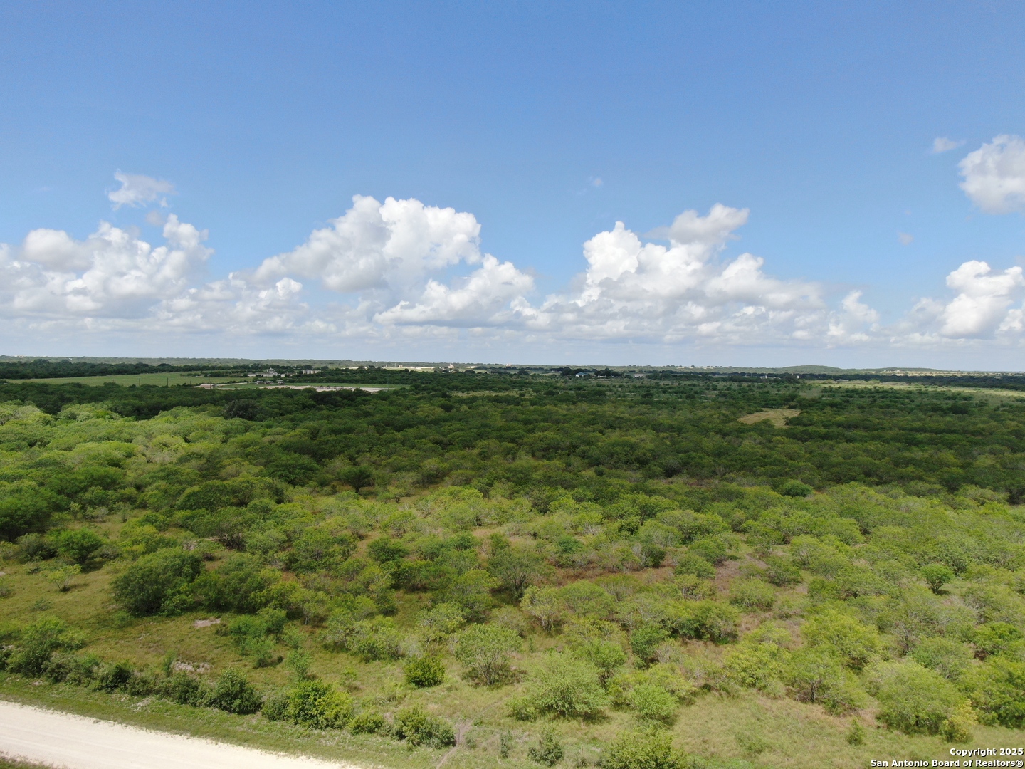 Tract 6 County Road 208 Hobson TX 78117