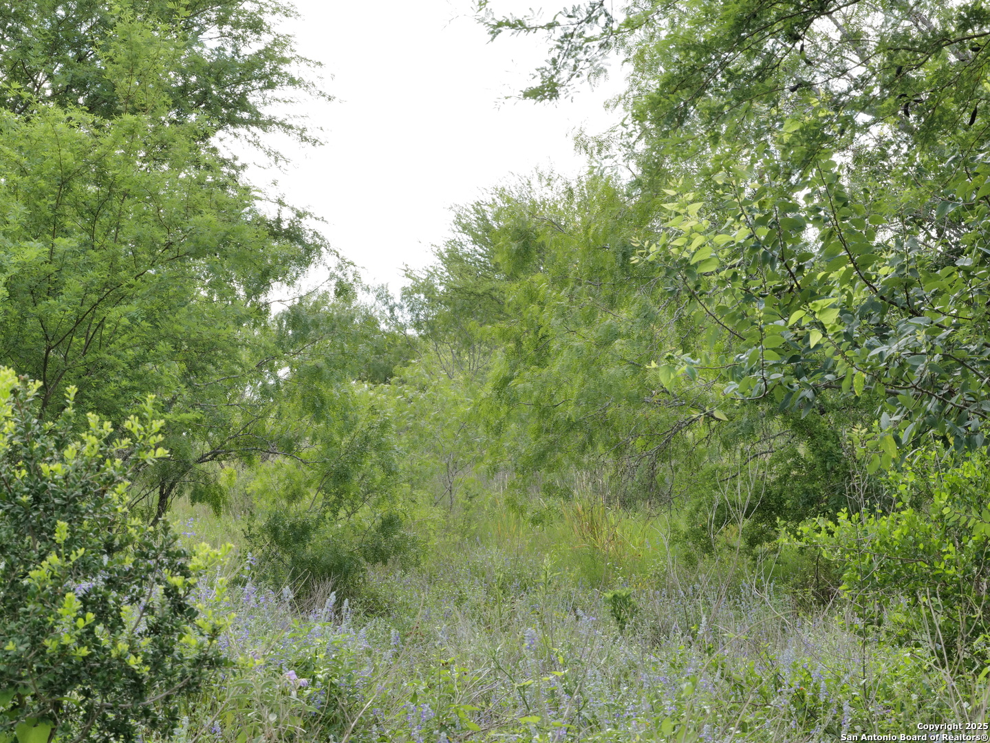 Tract 6 County Road 208 Hobson TX 78117