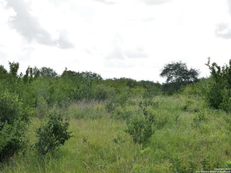 Tract 6 County Road 208 Hobson TX 78117