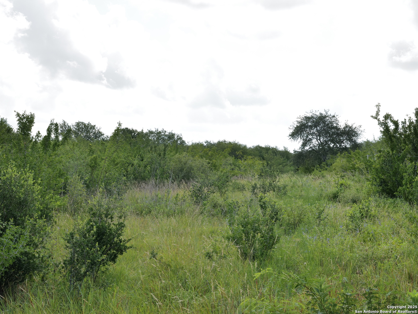 Tract 6 County Road 208 Hobson TX 78117