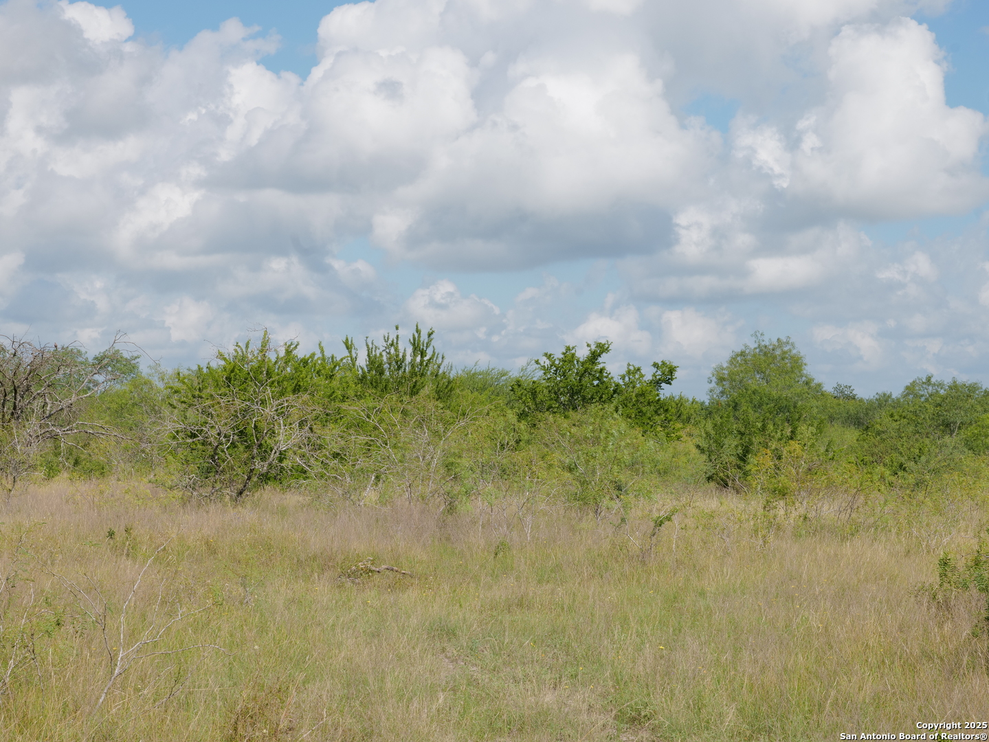 Tract 6 County Road 208 Hobson TX 78117