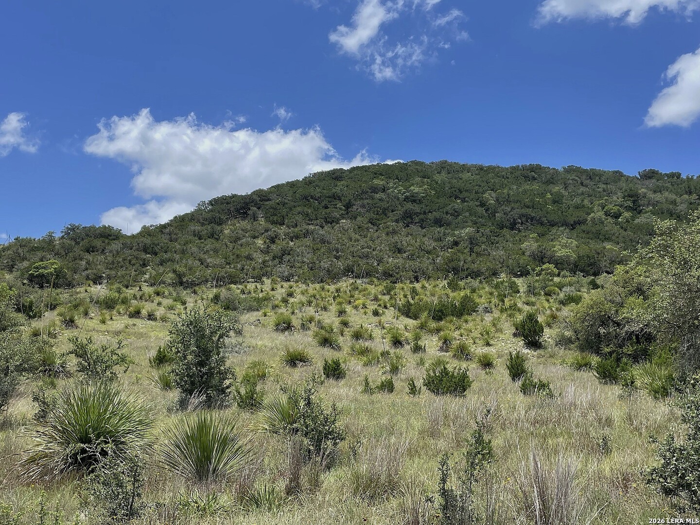 Lot 12 Walden Ridge Bandera TX 78003