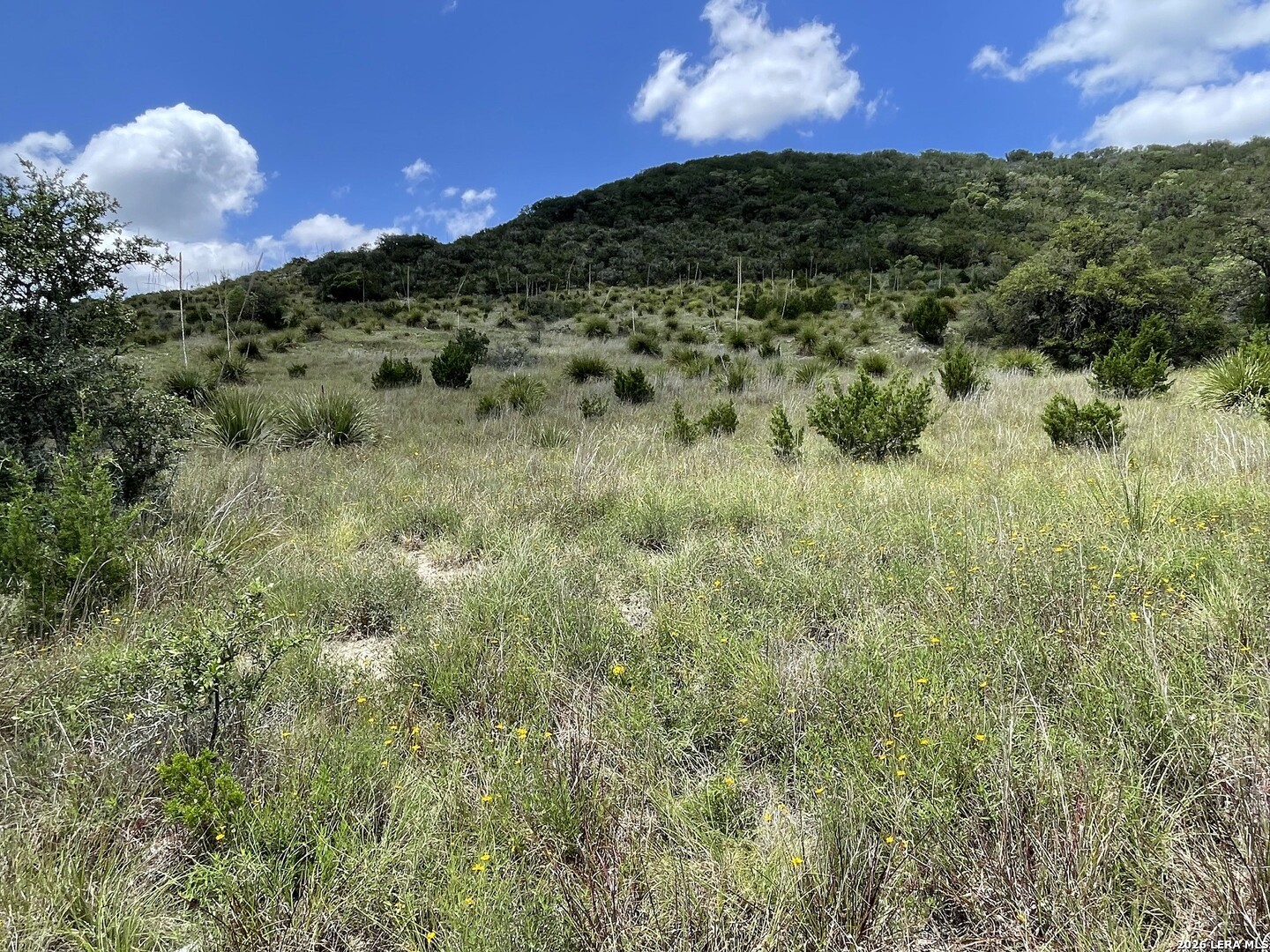 Lot 12 Walden Ridge Bandera TX 78003