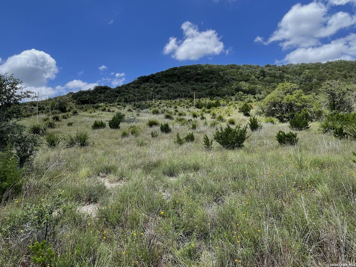 Lot 12 Walden Ridge Bandera TX 78003