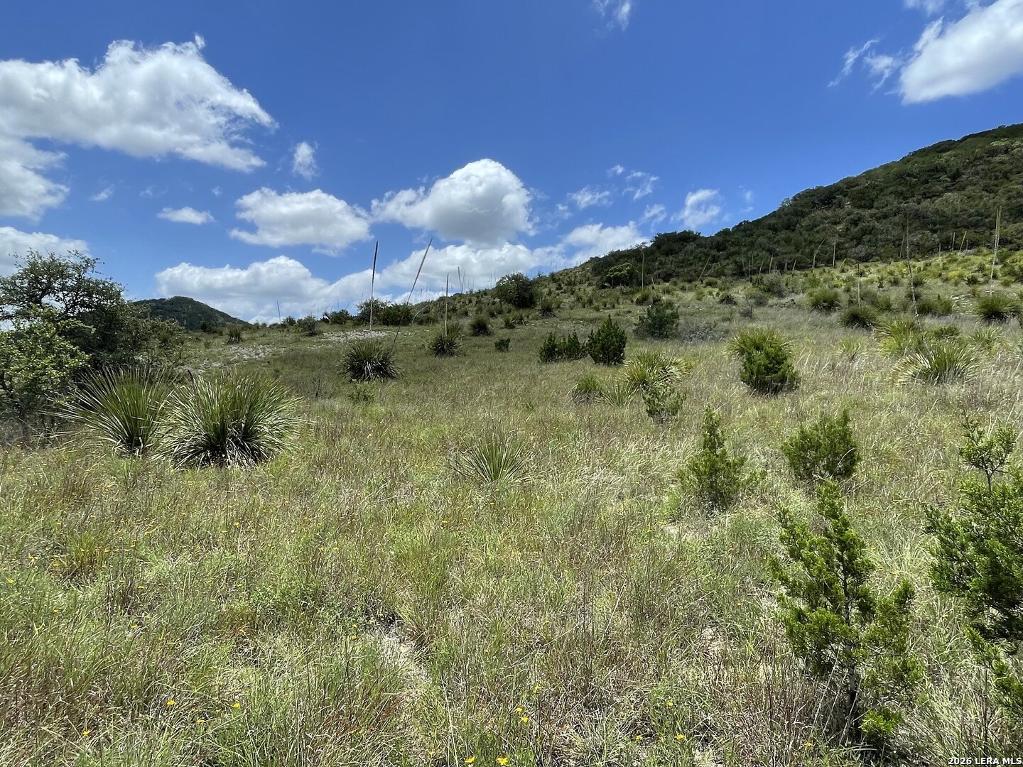 Lot 12 Walden Ridge Bandera TX 78003
