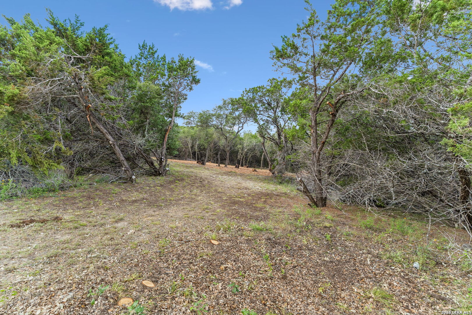 89 Lot Stallion Estates Spring Branch TX 78070