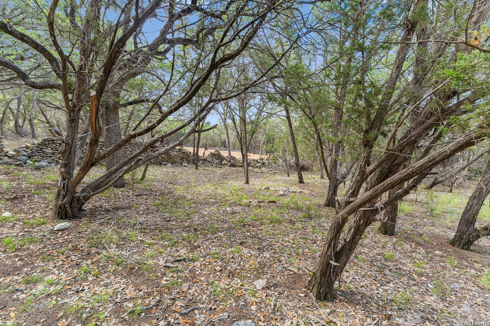 89 Lot Stallion Estates Spring Branch TX 78070