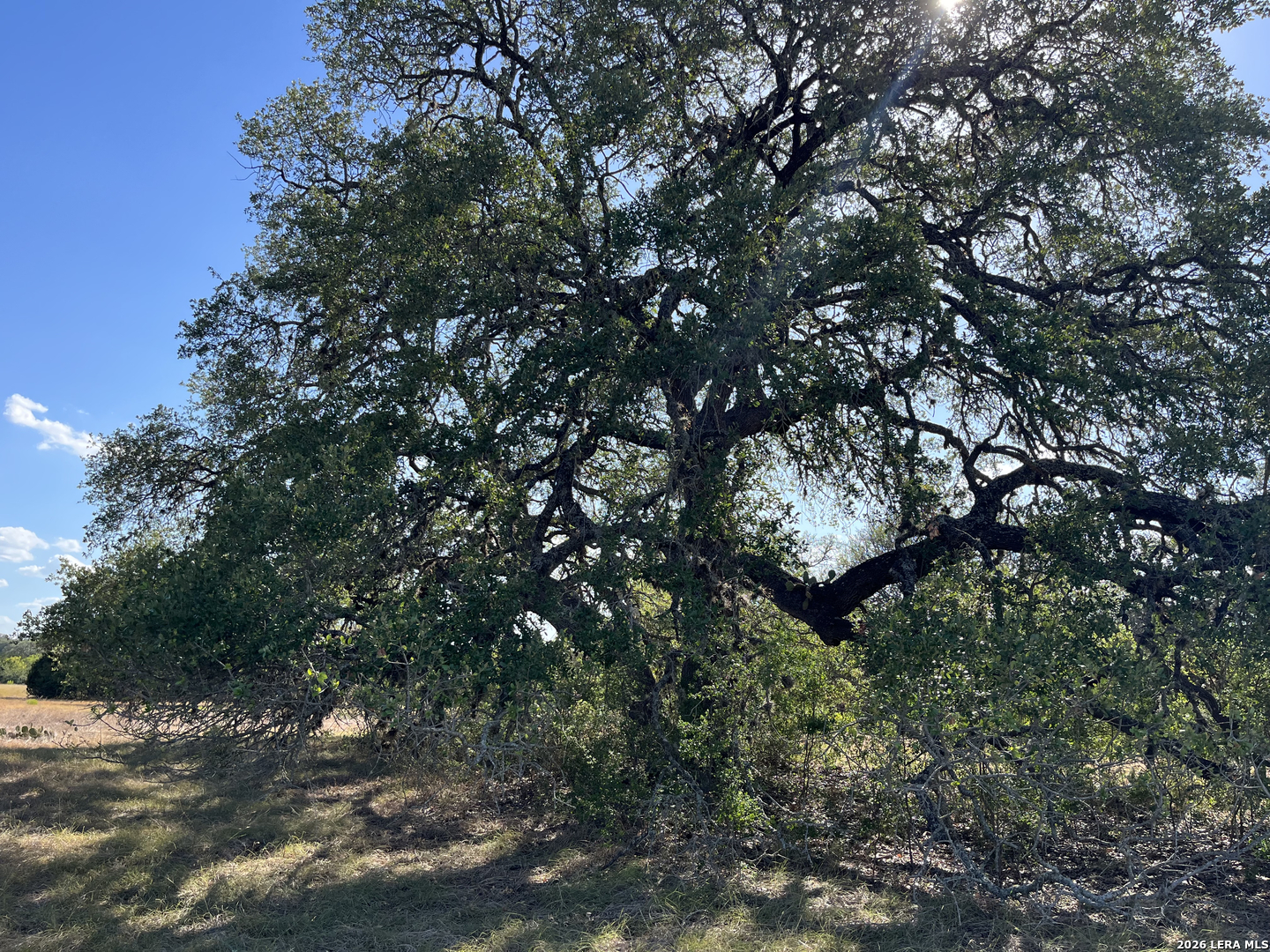 239 Appaloosa Hollow Bandera TX 78003