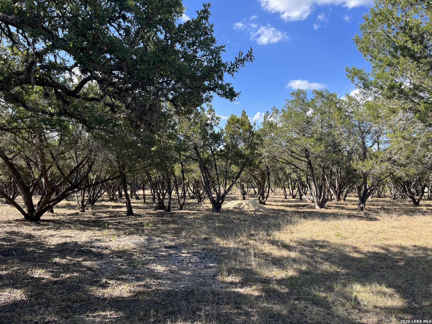 239 Appaloosa Hollow Bandera TX 78003