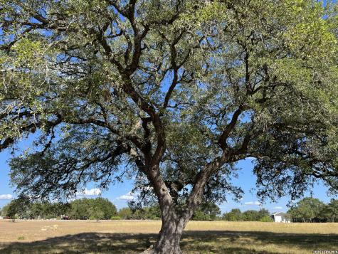 239 Appaloosa Hollow Bandera TX 78003