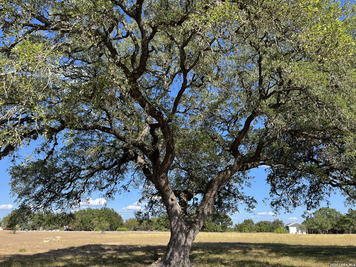 239 Appaloosa Hollow Bandera TX 78003