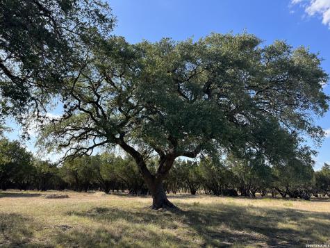 239 Appaloosa Hollow Bandera TX 78003