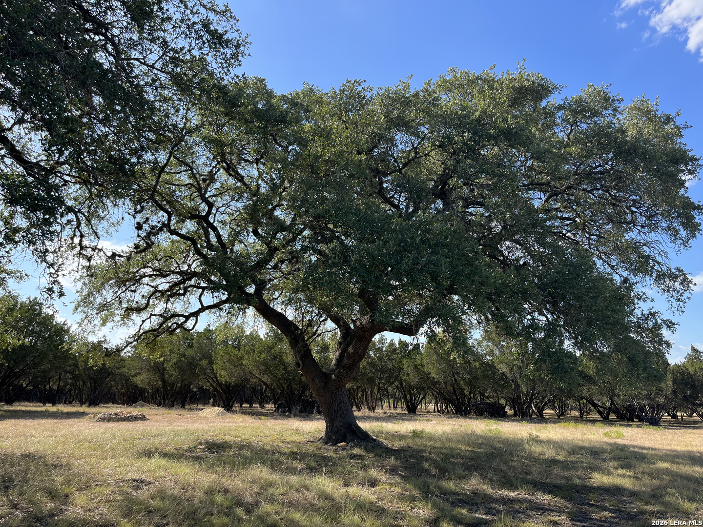 239 Appaloosa Hollow Bandera TX 78003